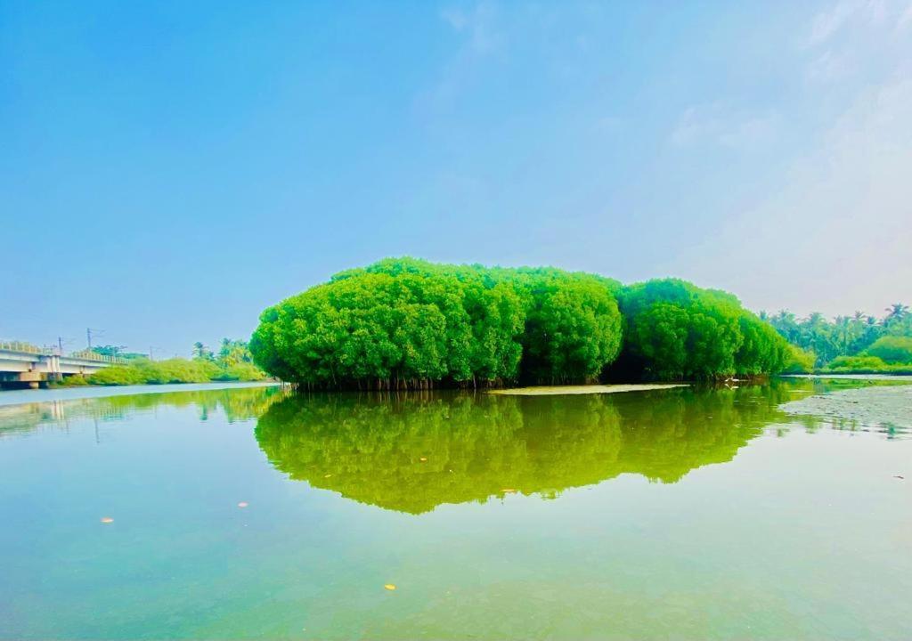 Green Island Homestay Riverside Kozsíkóde Kültér fotó