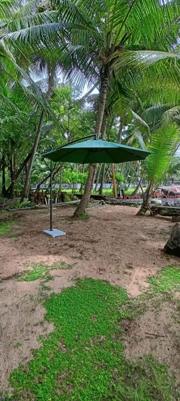 Green Island Homestay Riverside Kozsíkóde Kültér fotó